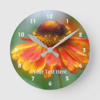 Weiche Orangen- und Gelbzinniger Blume
