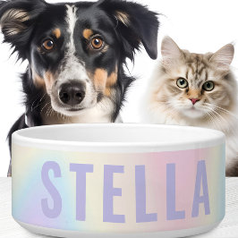 Weiche pastellfarbene Regenbogenbezeichnung modern Napf