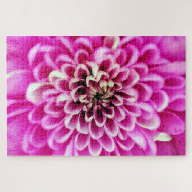 Weiche Pinks Chrysanthemen Puzzle (Horizontal)