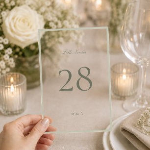 Weiche Pistazien-Acryl-Hochzeitstisch-Nummer Acryleinladungen