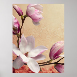 Weiche rosa Magnolien-Blumen Poster