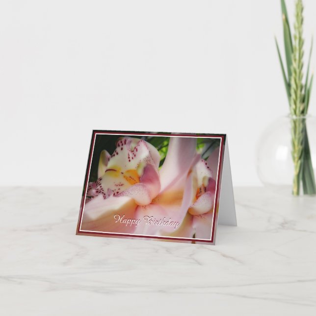 Weiche rosa Orchidee Karte (Vorderseite)