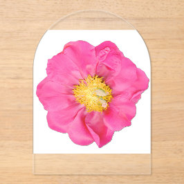 Weiche rosa Pfingstrose Botanical Acryl Acryleinladungen