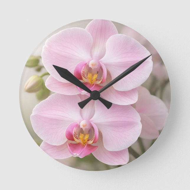 Weiche rosa Phalaenopsis-Orchidee Runde Wanduhr (Vorderseite)