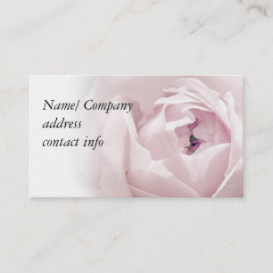 Weiche rosa Rose Visitenkarte