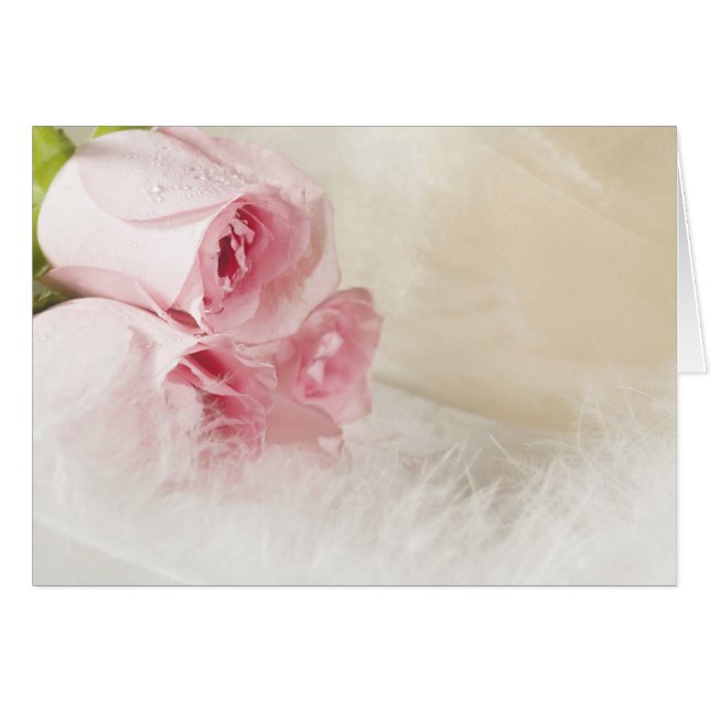 Weiche Rose und Federn (Vorderseite (Horizontal))