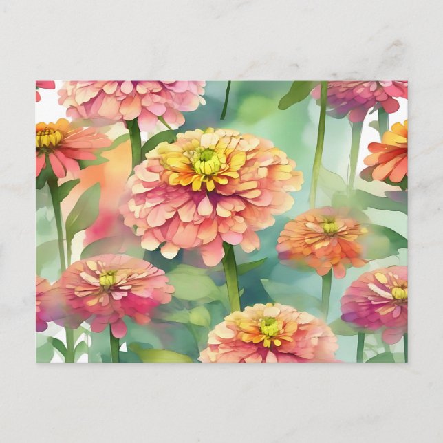 Weiche Wasserfarbe Zinnia Floral Postkarte (Vorderseite)