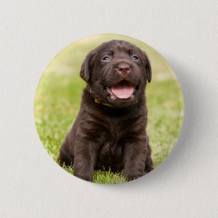 Weicher Hund des Welpen Button