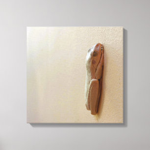 Weicher Milchfrosch auf gesteppten Leinwand