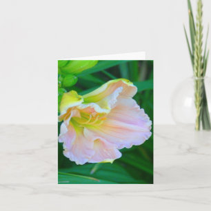 "WEICHER PINK & YELLOW DALILY/RESEMBLES MEERESMUSC KARTE