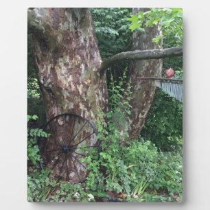 Weicher Sommerregen Fotoplatte