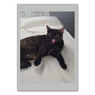 Weiches Fell, Katze, adjektive Lesekarten Tischnummer