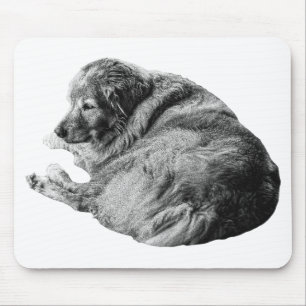 Weiches Hundefell hebt ruhige Winter-Arbeitsplatz- Mousepad