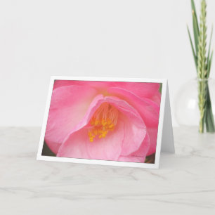 Weiches Rose camelia Karte