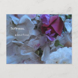 Weichheit, Soul-Essen, Postkarte