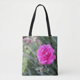 Weichrosa Carnation