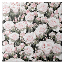 Weichrosa Rosen Fliese