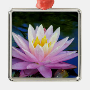 Weichrosa Wasserlilie Silbernes Ornament