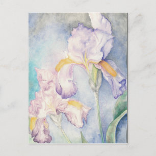 Weichste Schwertlilien Aquarell Postkarte