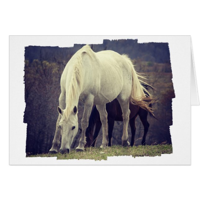 Weide (Vorderseite (Horizontal))