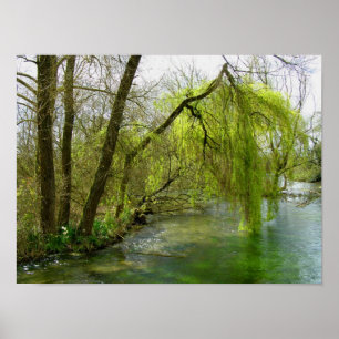 Weide am River Test Poster