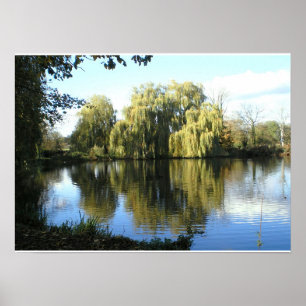 Weide am See weinend Poster