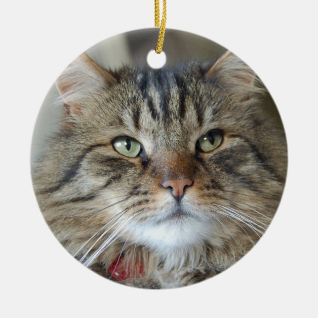 Weide die Katze Keramikornament (Vorne)