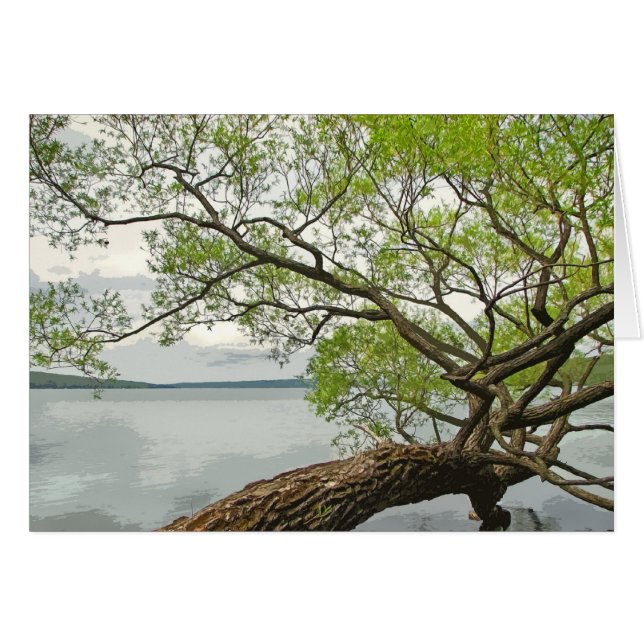 Weide in dem See (Vorderseite (Horizontal))