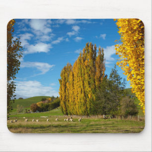 Weide mit Schafen Mousepad