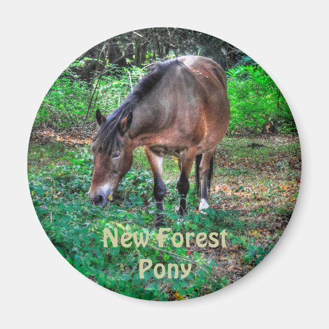 Weide New Forest Pony Wildlife Magnet (Vorne)