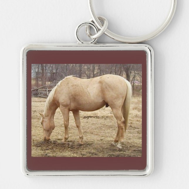 Weide Palomino Pferd Schlüsselanhänger (Vorne)