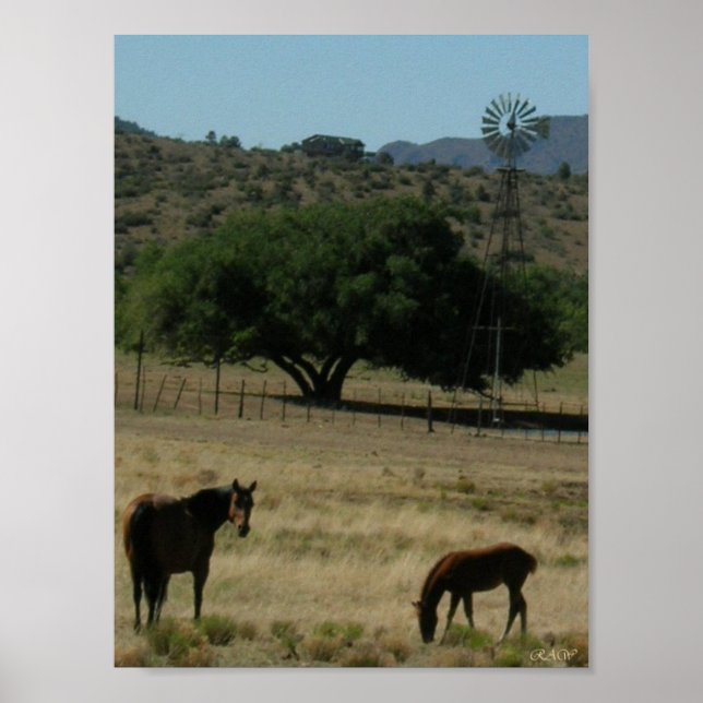 Weide Perfect Poster (Vorne)