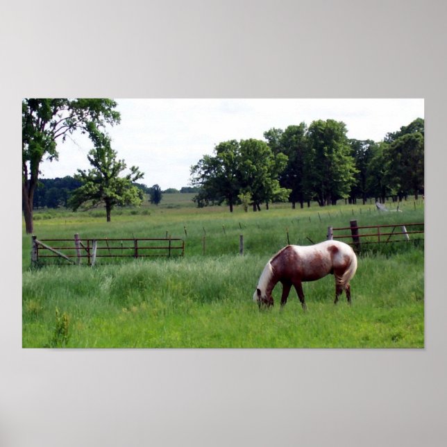 Weide Poster (Vorne)