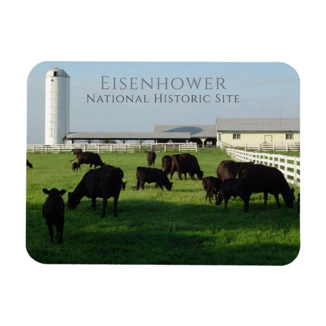 Weideanguskühe, Eisenhower Farm, Gettysburg Magnet (Horizontal)