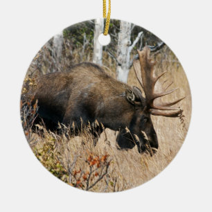 Weidebulle Keramikornament