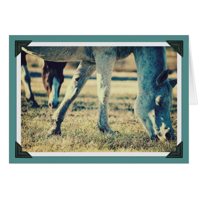 WeideEquines (Vorderseite (Horizontal))