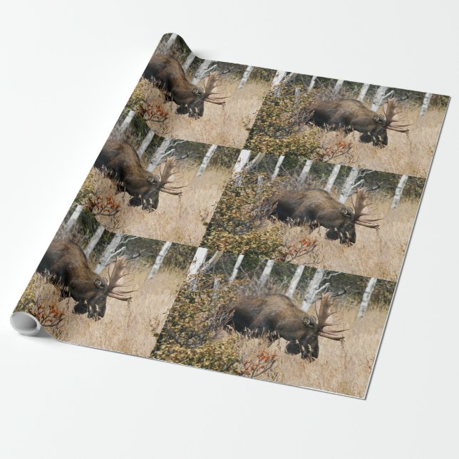 Weidegang Geschenkpapier (Ungerollt)