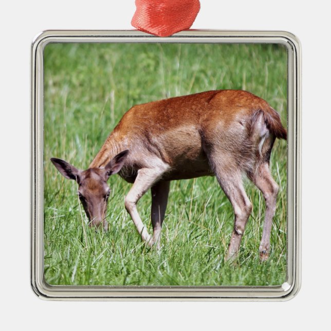 Weidehirse Silbernes Ornament (Vorne)