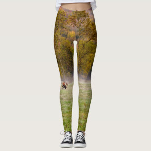 Weideleich Leggings