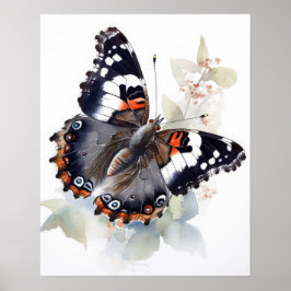 Weidemeyer's Admiral Butterfly Art Print Poster