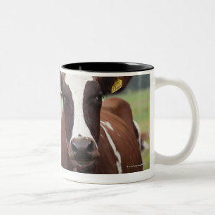 Weiden lassen der Kühe Zweifarbige Tasse