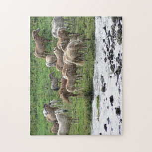 Weiden lassen des Pferdepuzzlespiels Puzzle