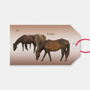 Weiden lassen des Pferdesatzes Geschenk-Umbauten Geschenkanhänger