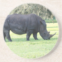 Weiden lassen des Rhino-Untersetzer