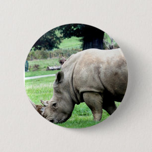 Weiden lassen des weißen Nashorn-Knopfes Button