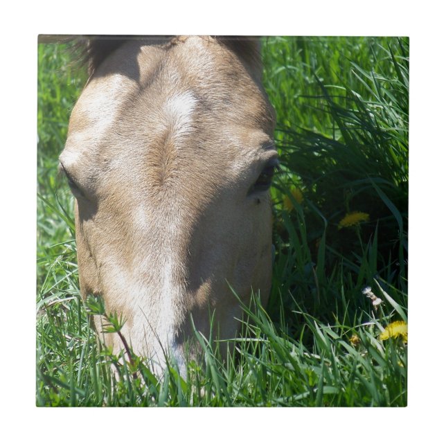 Weiden lassen im Gras Fliese (Vorderseite)