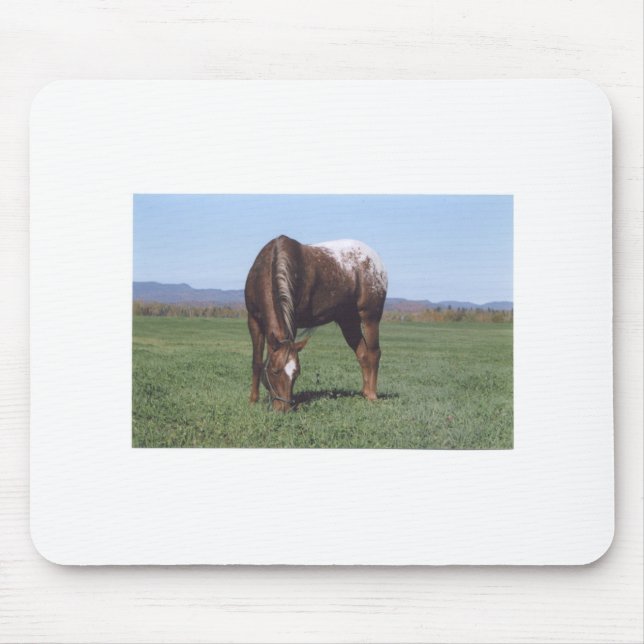 Weiden lassen von Appaloosa Mousepad (Vorne)