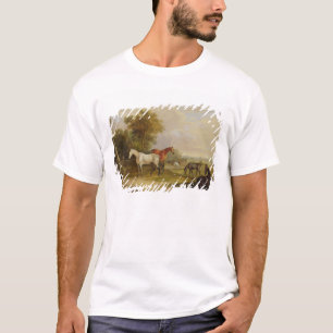 Weiden lassende Pferde: Ein grauer Stallion, der T-Shirt