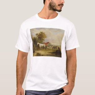 Weiden lassende Pferde: Ein grauer Stallion, der T-Shirt