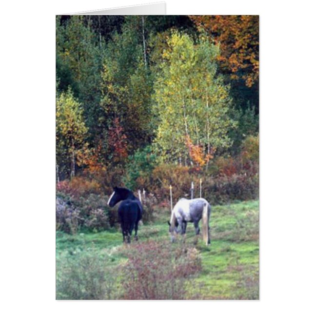Weiden lassender Fall - Kiefern-Ridge-Bauernhof (Vorne)